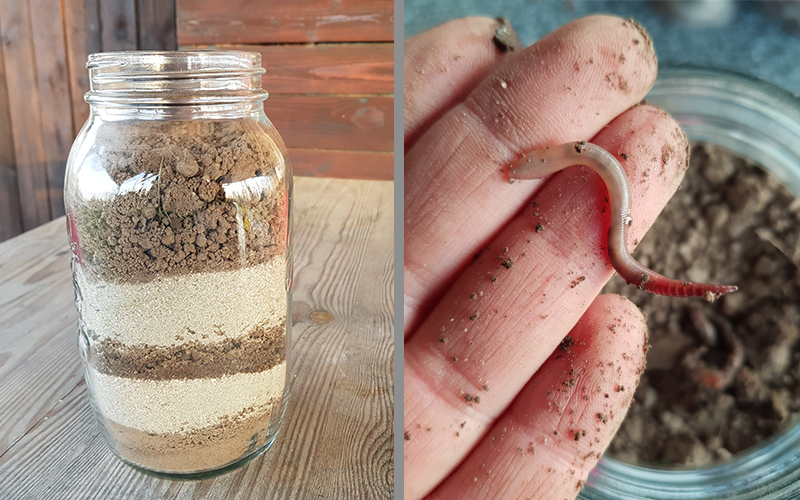 Links ein Einmachglas mit Erd- und Sandschichten, rechts eine Hand, die einen Regenwurm hält.