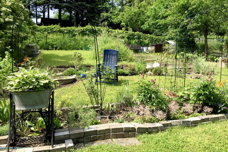 Schmale Beete, Kübel und rankhilfen umsäumen eine kleine Rasenfläche mit Gartenstuhl.