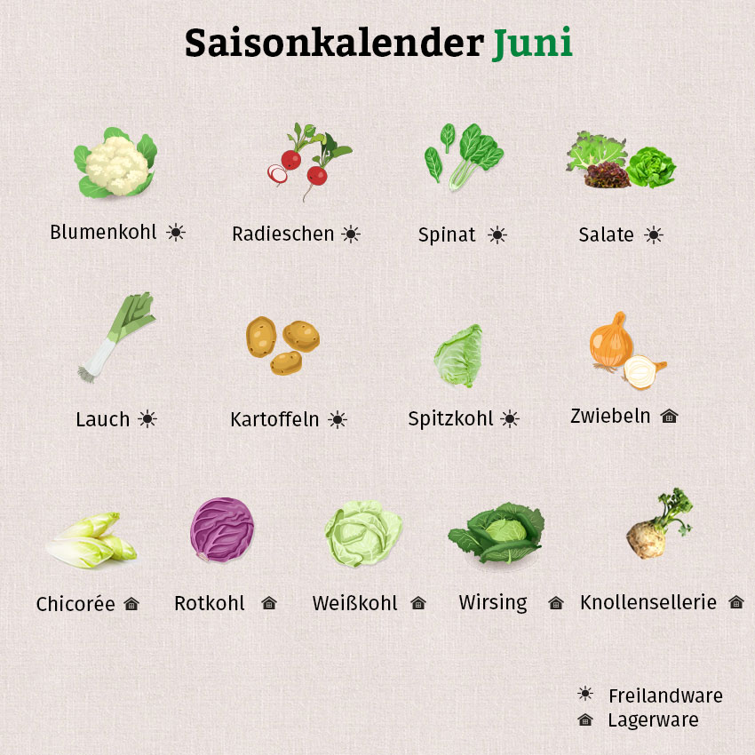 In der Grafik zum Saisonkalender Juni findet sich eine große Vielfalt an Obst und Gemüse.